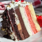 Neapolitan Cake
